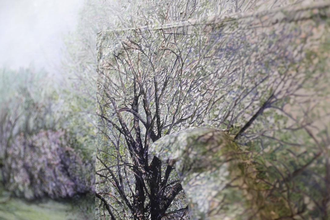 Arrival, Raven in Landscape