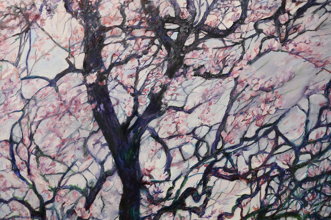 Blossoms Embrace on Magnolia Trees