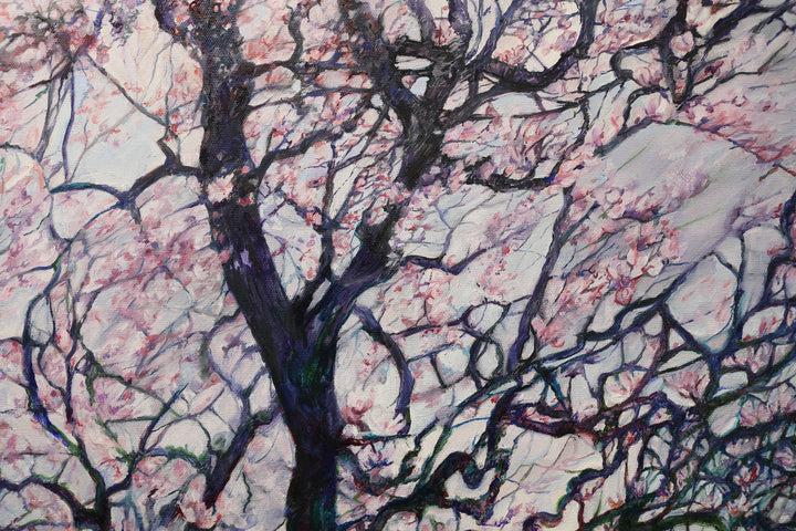 Blossoms Embrace on Magnolia Trees