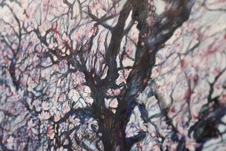 Blossoms Embrace on Magnolia Trees