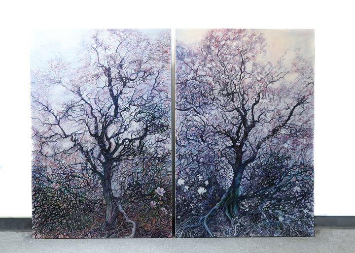 Blossoms Embrace on Magnolia Trees