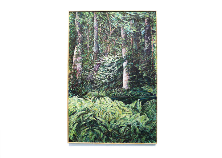 Ferns In Wood